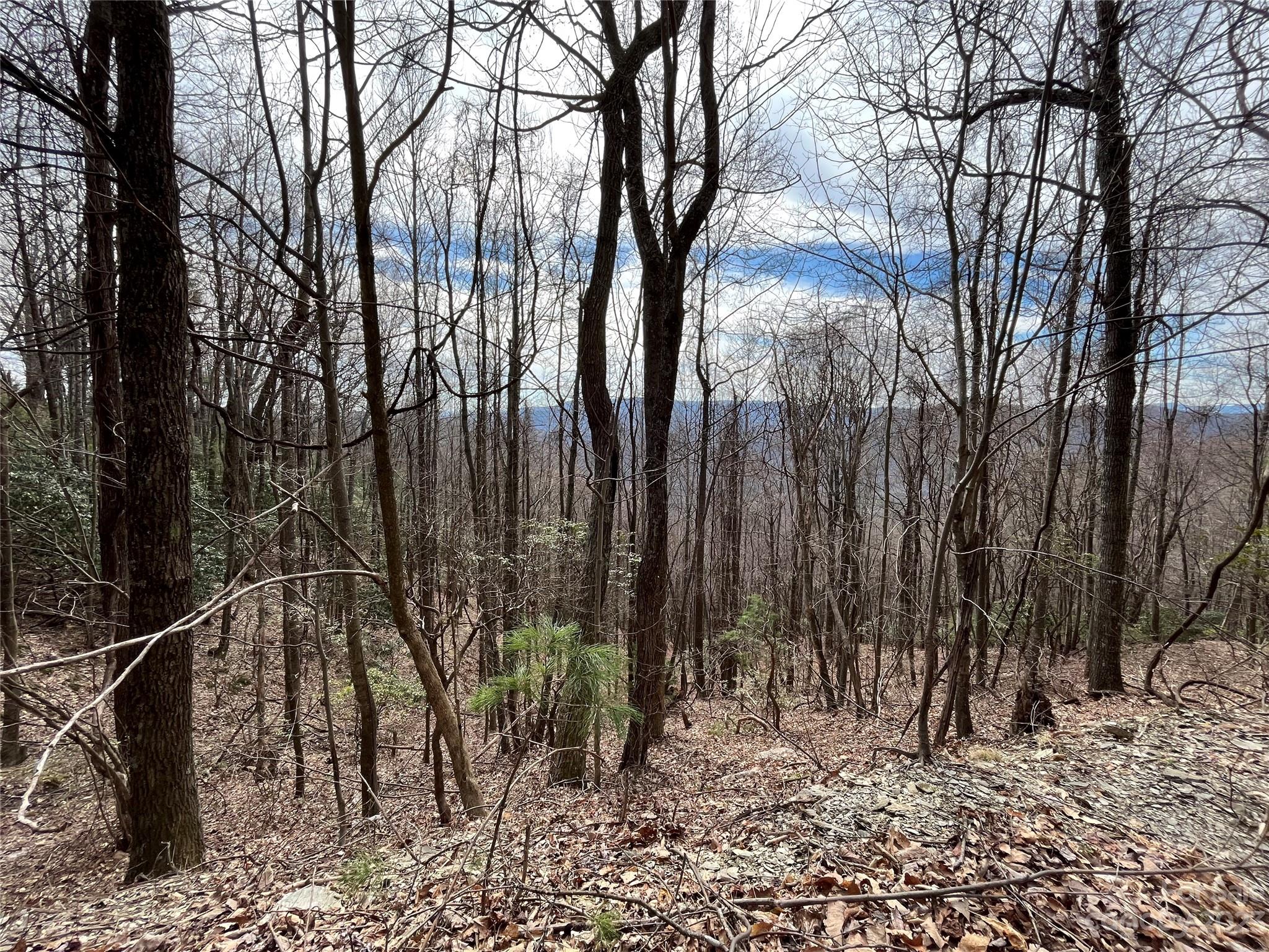 Tbd Sheets Gap Road Millers Creek, NC 28651 - Photo 5 of 15 a backyard of a house with lots of green space