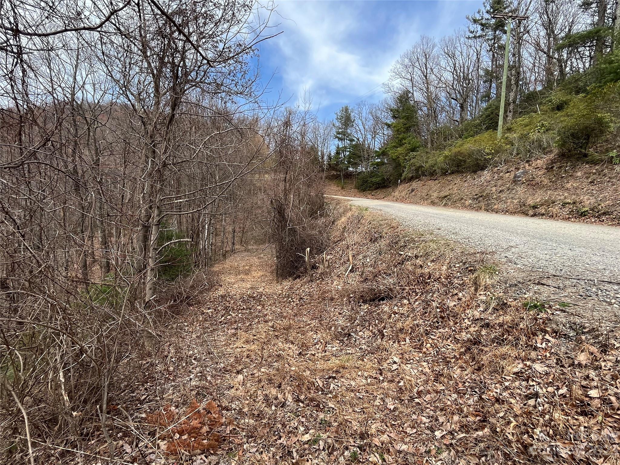 Tbd Sheets Gap Road Millers Creek, NC 28651 - Photo 6 of 15 a view of a yard with large trees