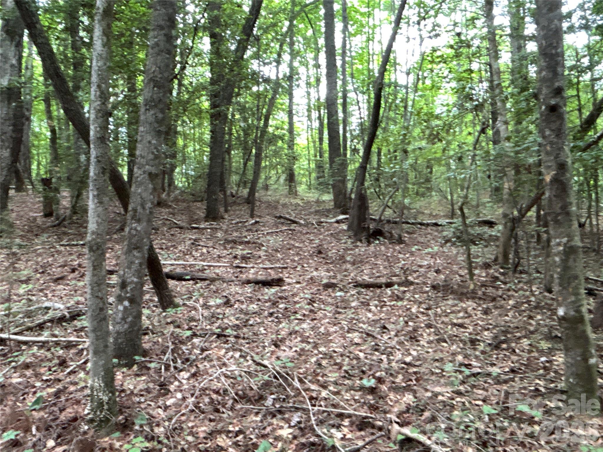 0 J J Thomas Road Morganton, NC 28655 - Photo 4 of 11