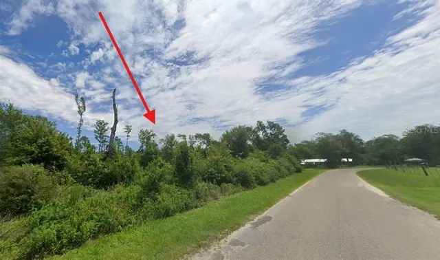 a view of a park with large trees