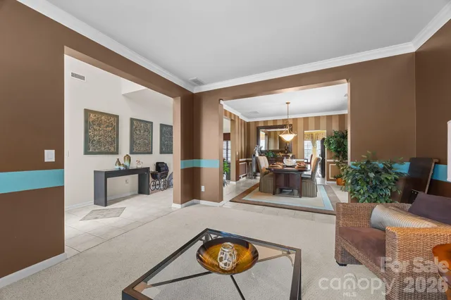 a living room with furniture and potted plants
