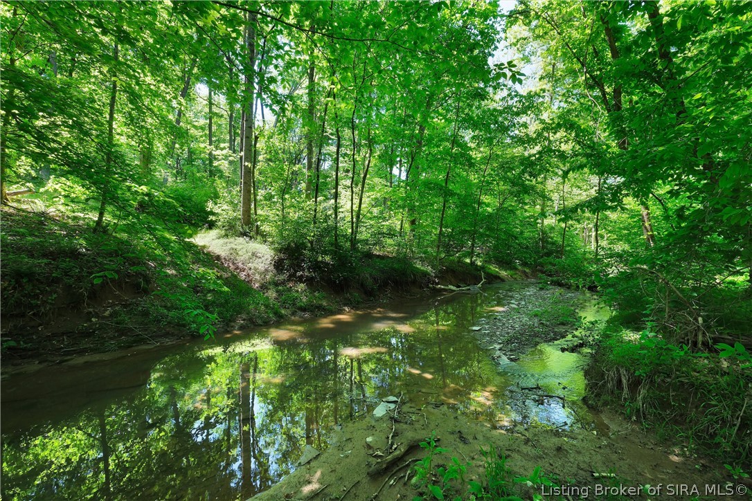4420 Fox Road Charlestown, IN 47111 - Photo 13 of 94 Creek at the back of the property