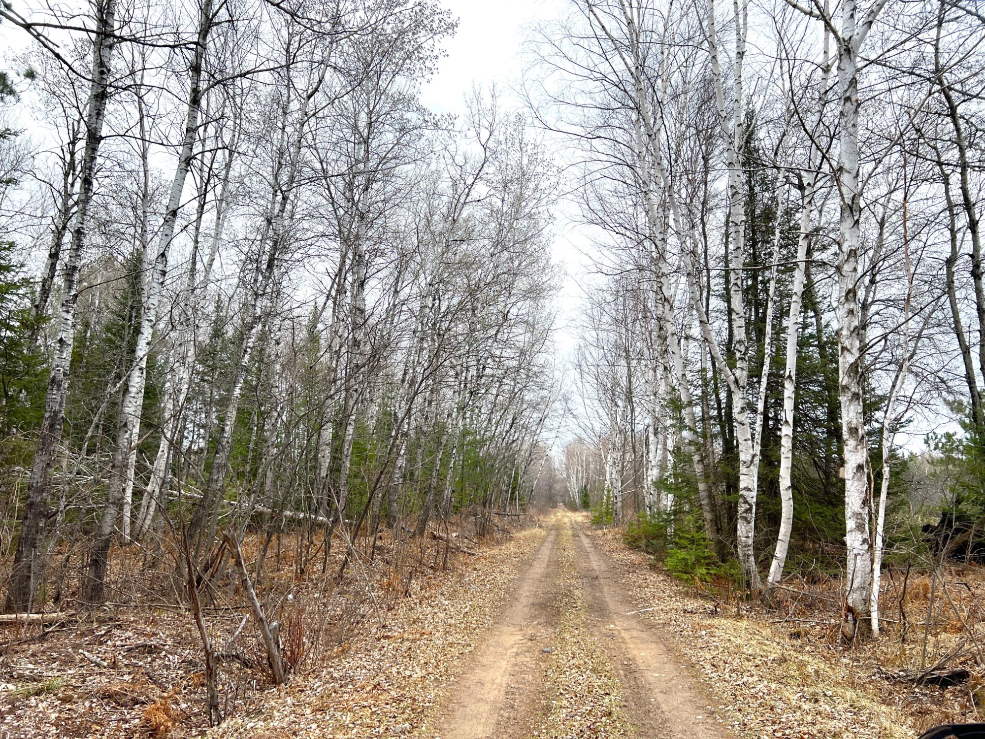 On On Shabby Lane Rhinelander, WI 54501 - Photo 6 of 18 Gallery Image 6