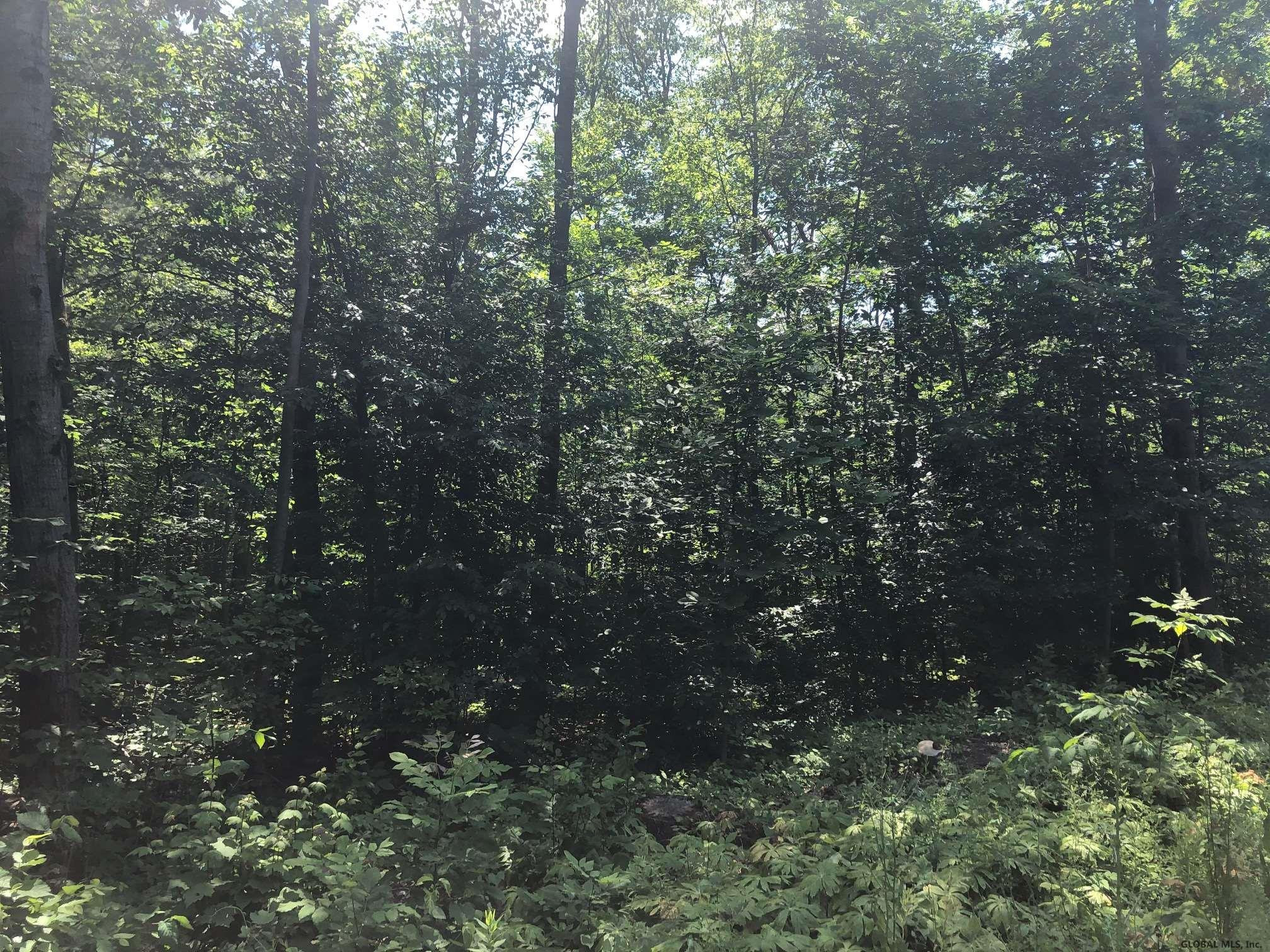 0 Root Road Ballston Spa, NY 12020 - Photo 3 of 7 Photo 3