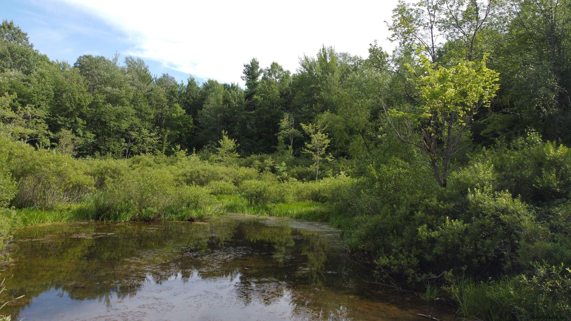 0 Root Road Ballston Spa, NY 12020 - Photo 4 of 7 Photo 5