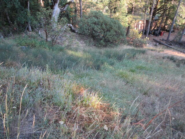 3 East Van Duzen Road Zenia, CA 95595 - Photo 7 of 12 IMG_2696