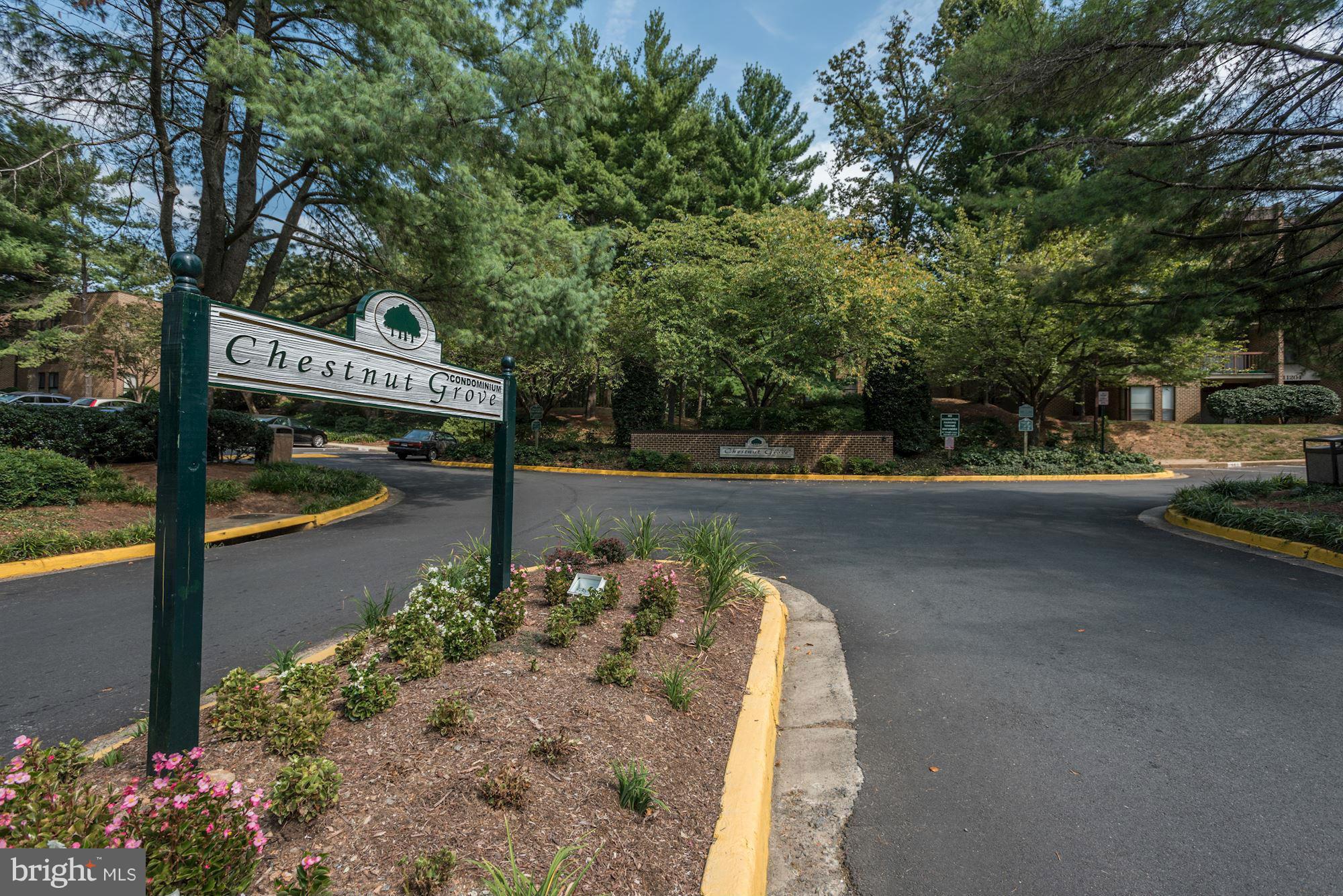 11204 Chestnut Grove Square, Unit 106 Reston, VA 20190 - Photo 2 of 29 Community