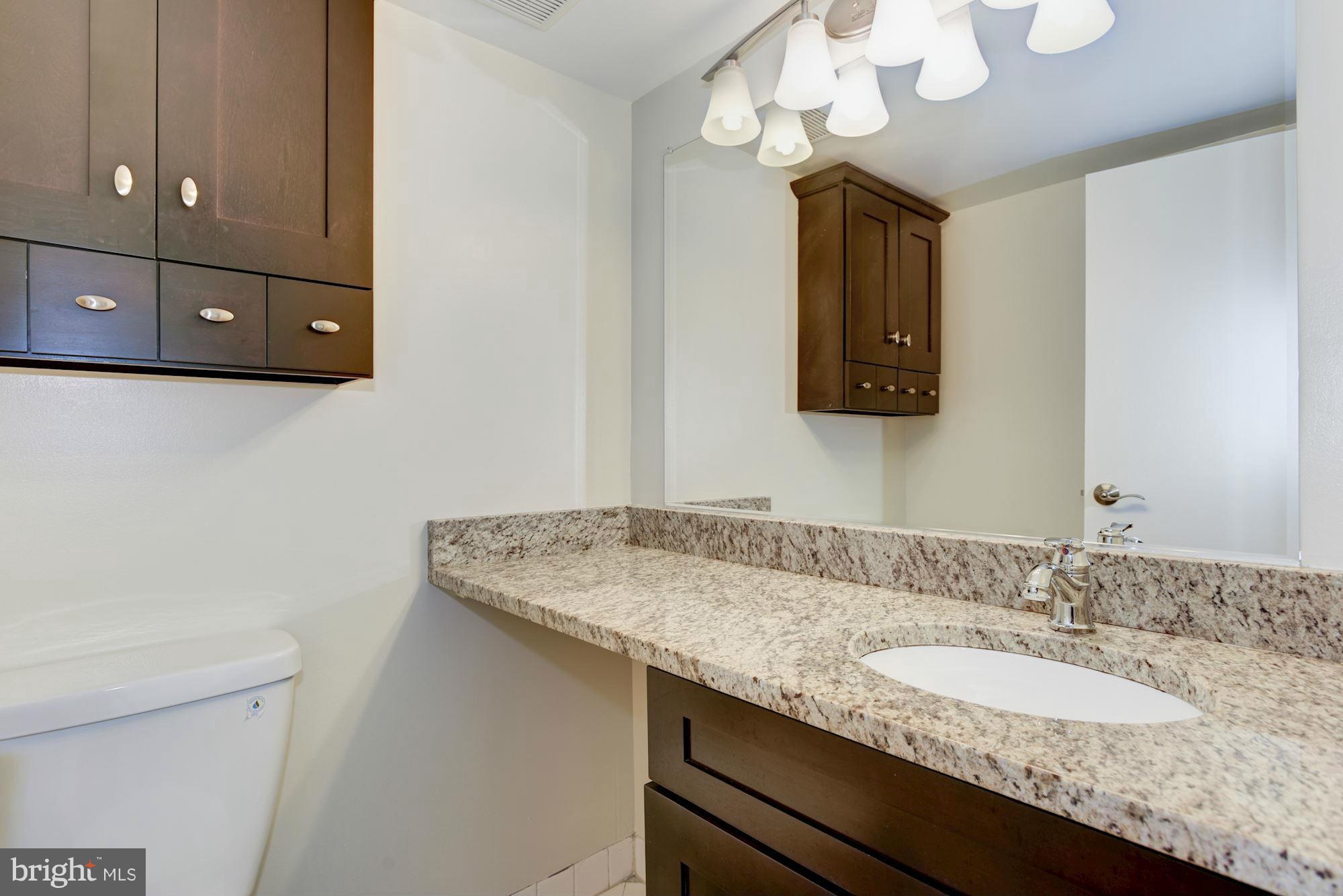 11204 Chestnut Grove Square, Unit 106 Reston, VA 20190 - Photo 15 of 29 Bath (Master)