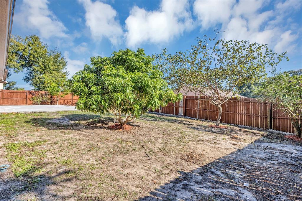 6701 Merlin Court Orlando, FL 32810 - Photo 10 of 54 a backyard of a house with lots of green space