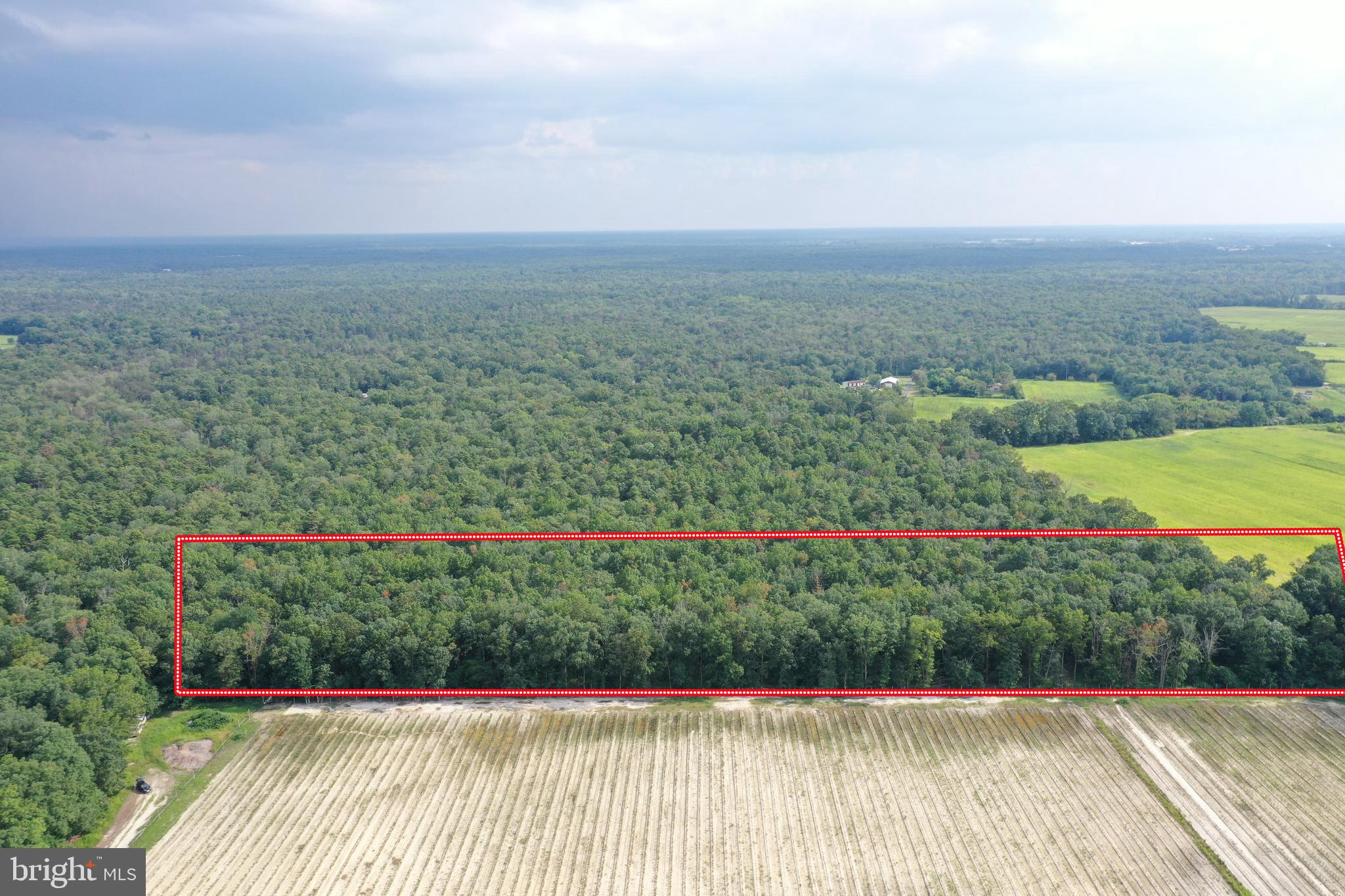 0 Simereck (semerick) Road Buena, NJ 08310 - Photo 3 of 6