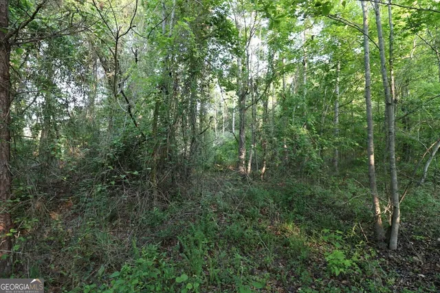 a view of a lush green forest next to a lake