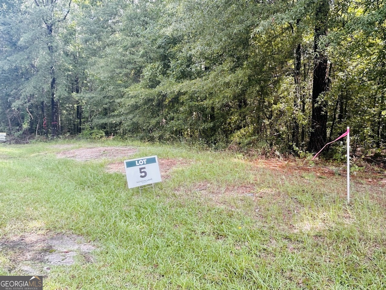 0 Kings Mill Road, Unit 5 Wrens, GA 30833 - Photo 3 of 24 a backyard of a house with lots of green space