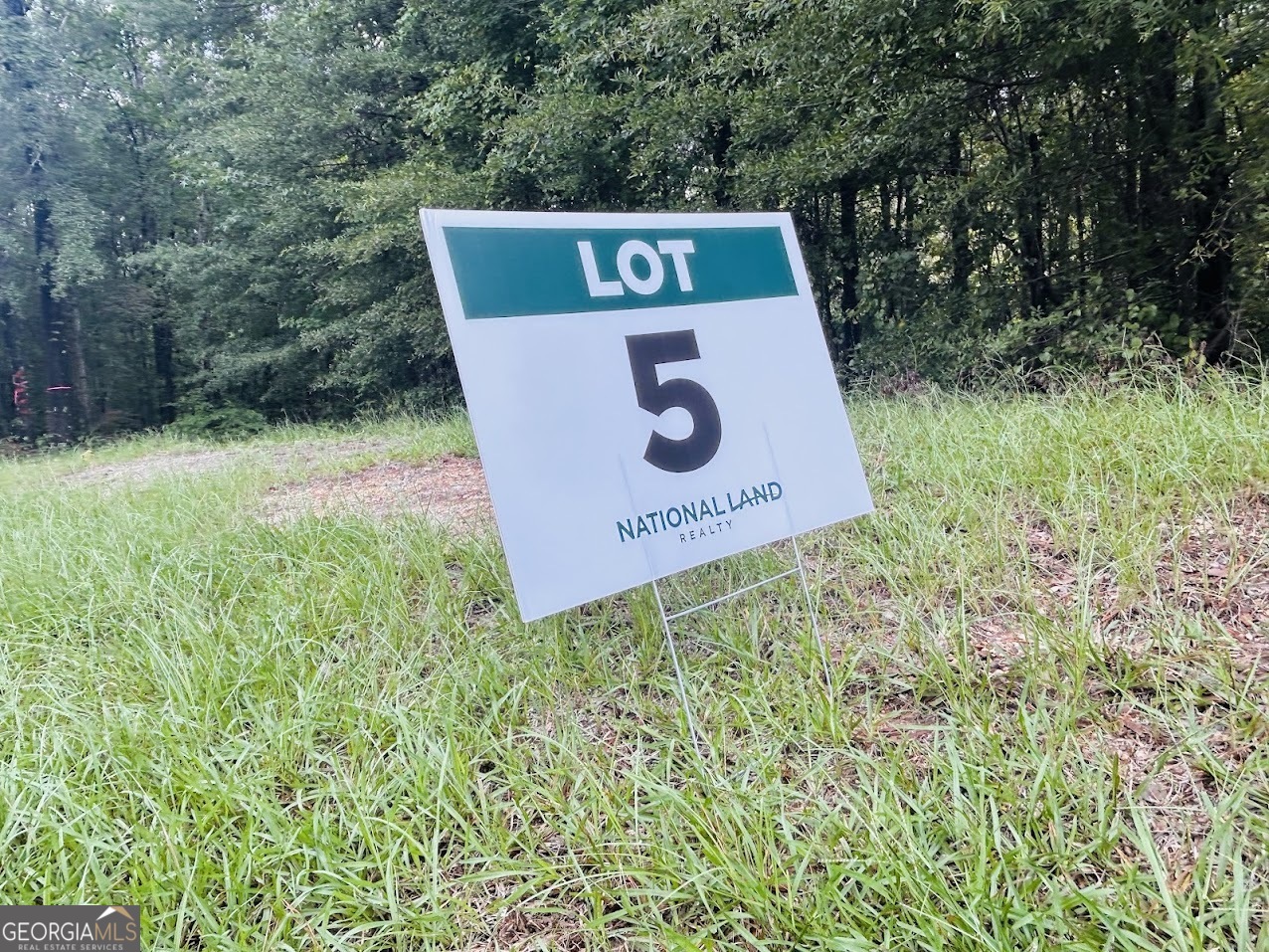 0 Kings Mill Road, Unit 5 Wrens, GA 30833 - Photo 4 of 24