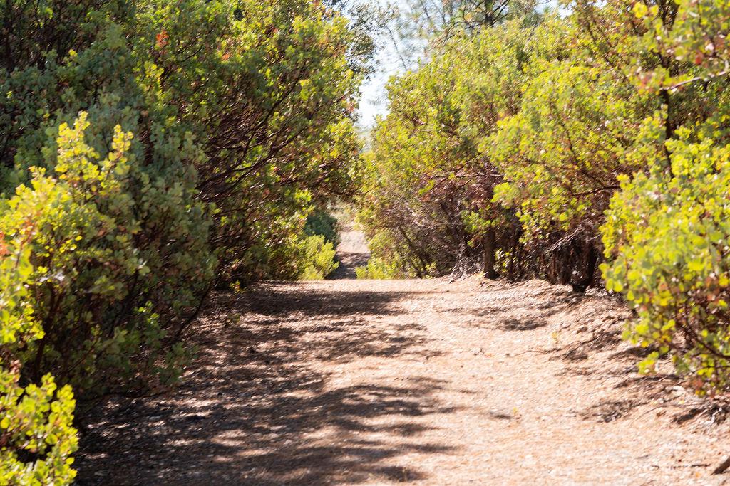 0 Mule Skinner Road Placerville, CA 95667 - Photo 7 of 28 Gallery Image 7