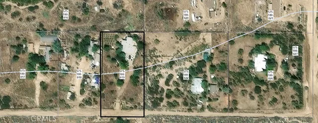 a view of a dry yard