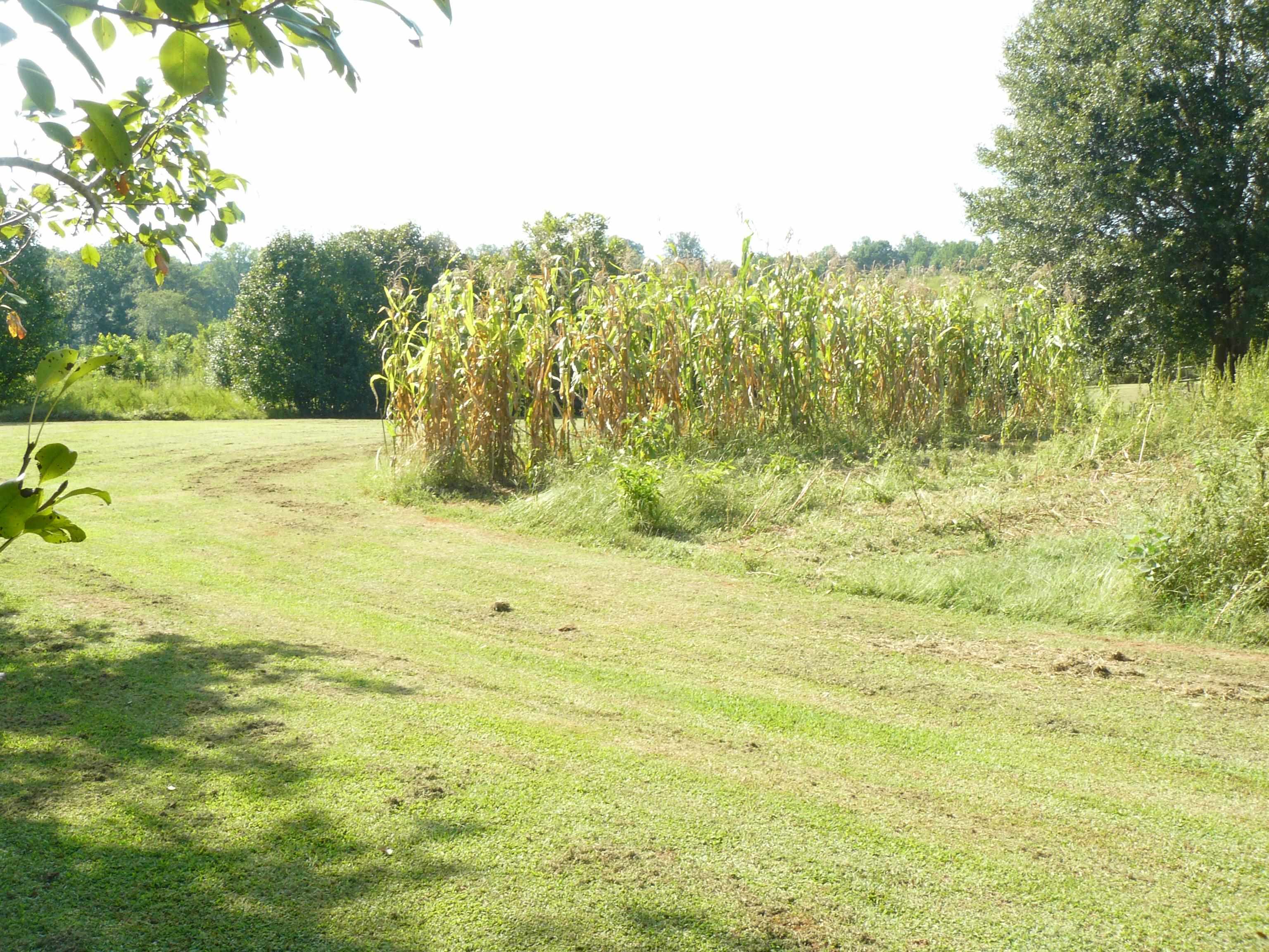 365 Moss Farm Road Blacksburg, SC 29702 - Photo 11 of 24