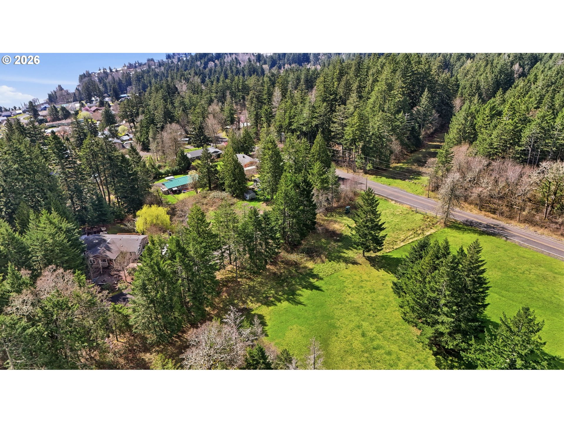 0 Bone Road Stevenson, WA 98648 - Photo 12 of 12