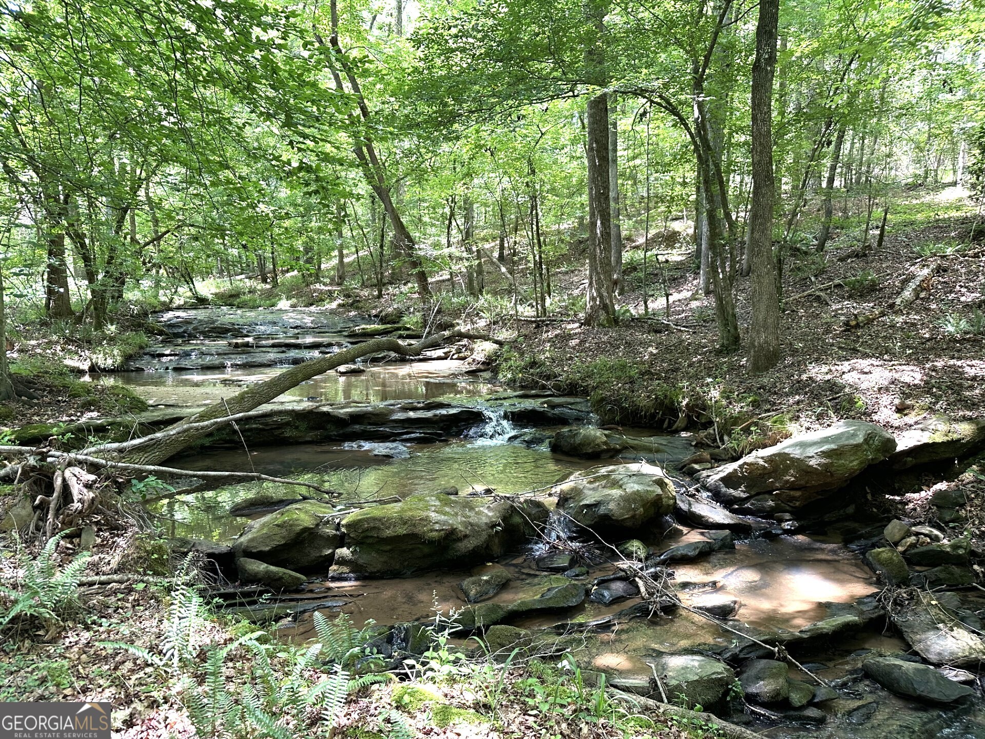360 Happy Hollow Road Comer, GA 30629 - Photo 25 of 31