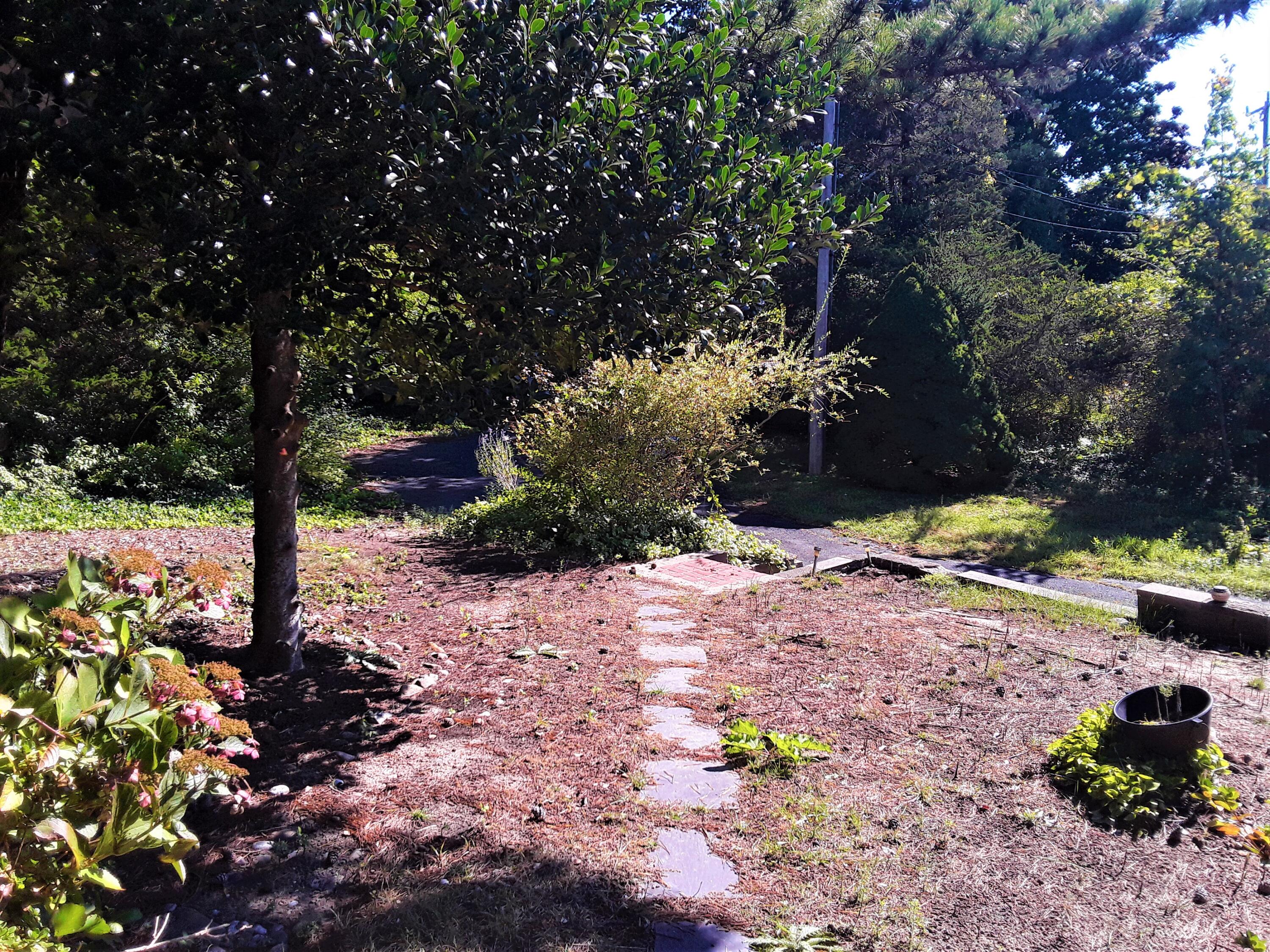 60 Cedar Land Road Orleans, MA 02653 - Photo 7 of 30 a view of a pathway with a tree