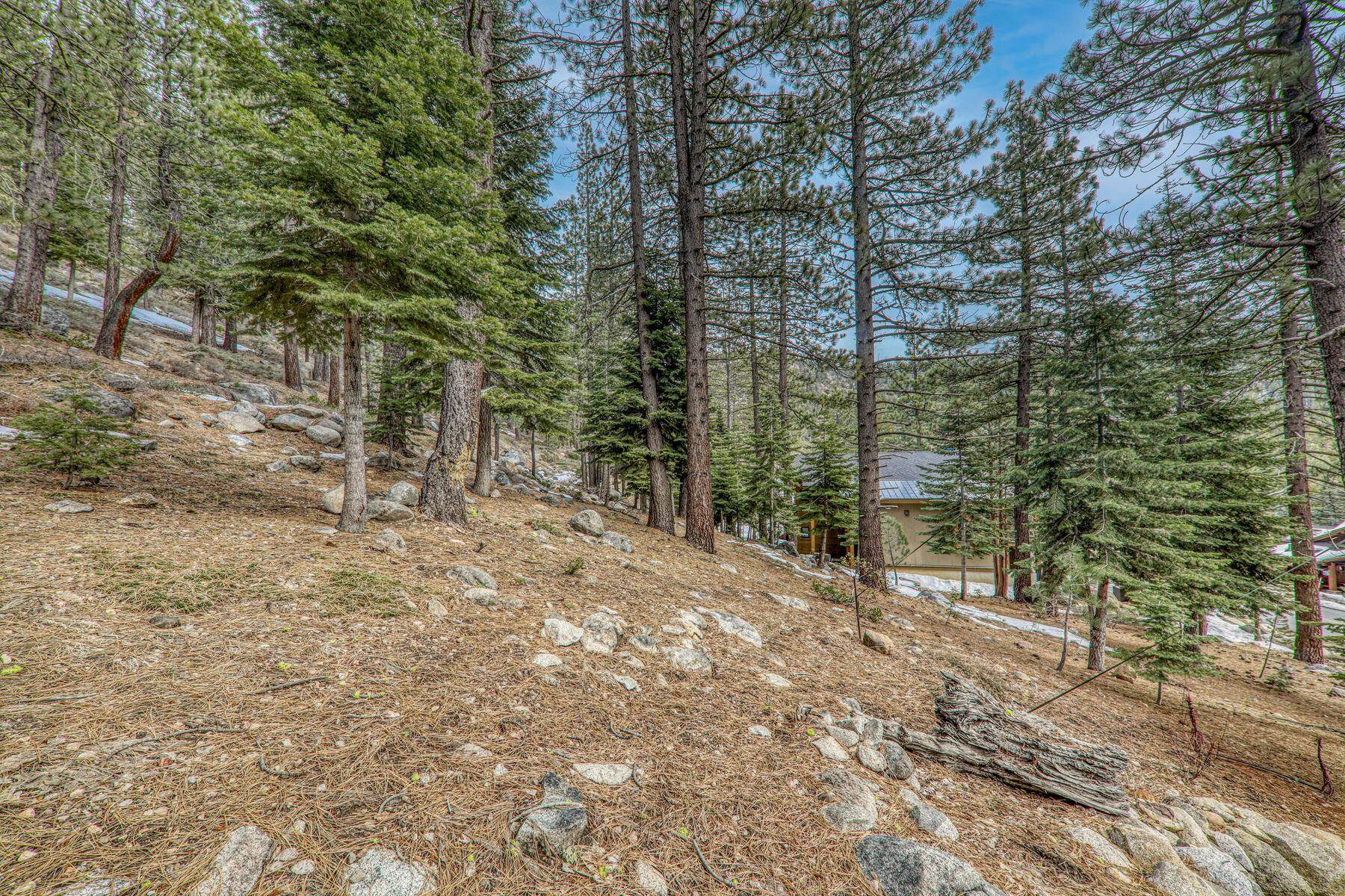 236 Shoshone Way Olympic Valley, CA 96146 - Photo 10 of 16