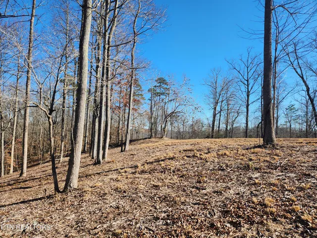 $31,000 | Lot 52 East Poplar Lane, La Follette, TN 37766