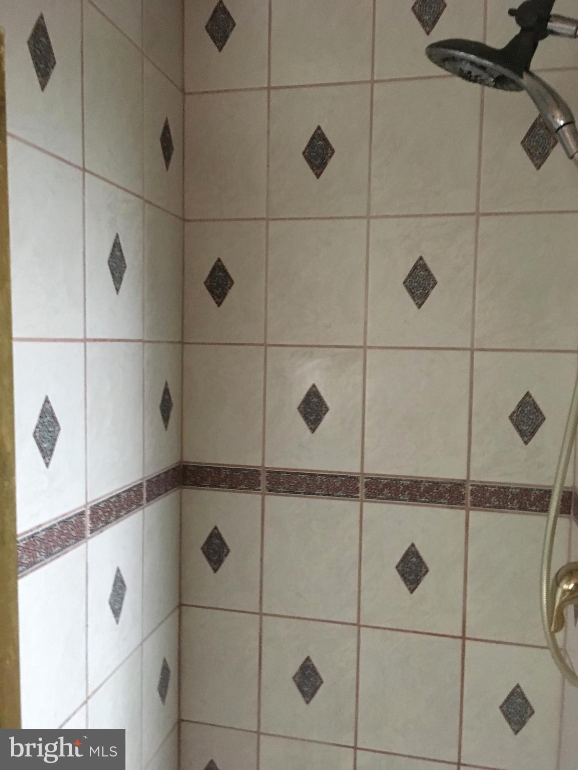 2402 Manor Road Havertown, PA 19083 - Photo 10 of 12 Master Shower
