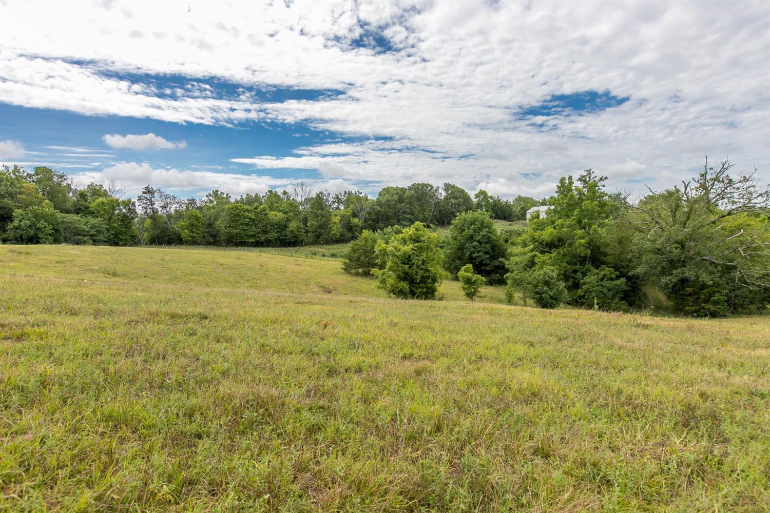 1739 Graves Road Stamping Ground, KY 40379 - Photo 7 of 28 Photo 7
