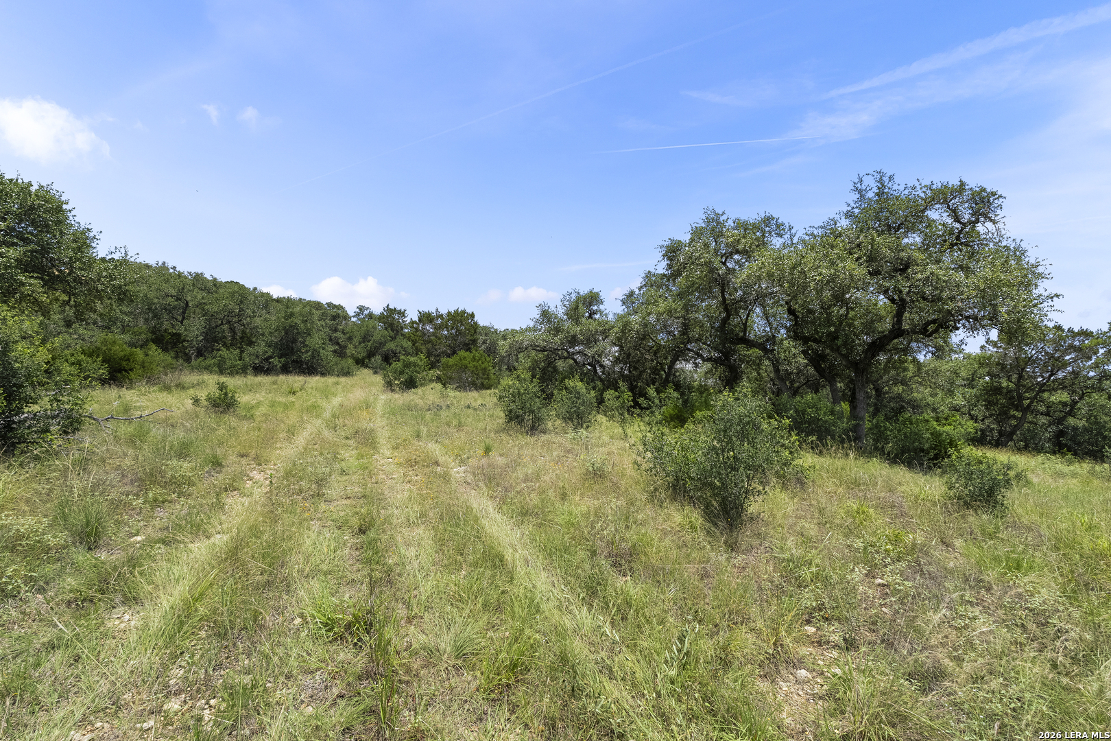 29091 Cibolo Cliff Road Bulverde, TX 78163 - Photo 39 of 42