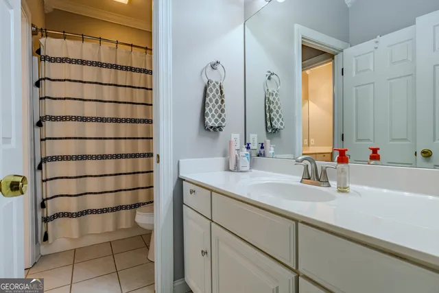 a view of a patio with couches and a potted plant on a table