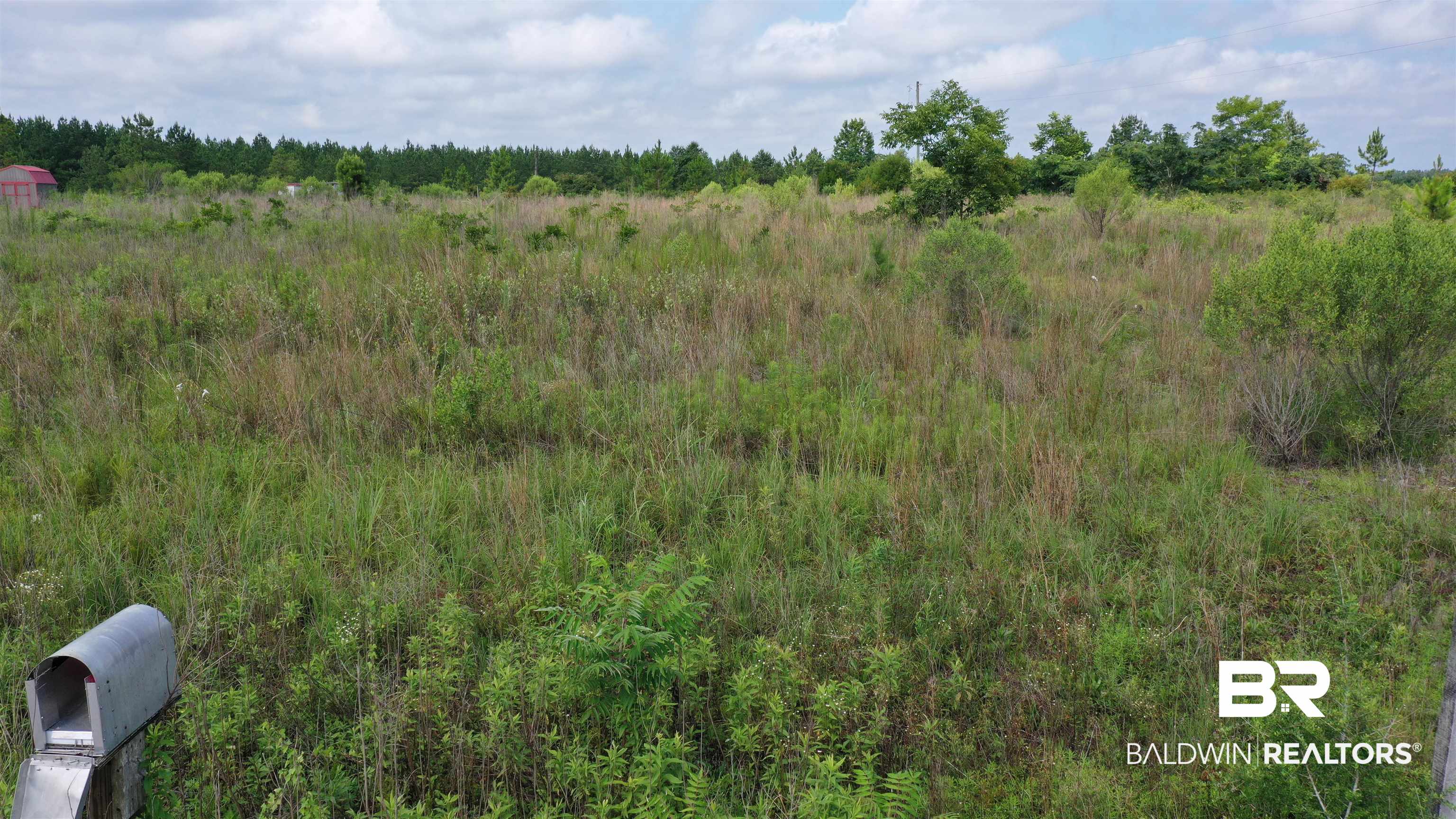 0 Highway 113 Flomaton, AL 36441 - Photo 16 of 24 View of landscape