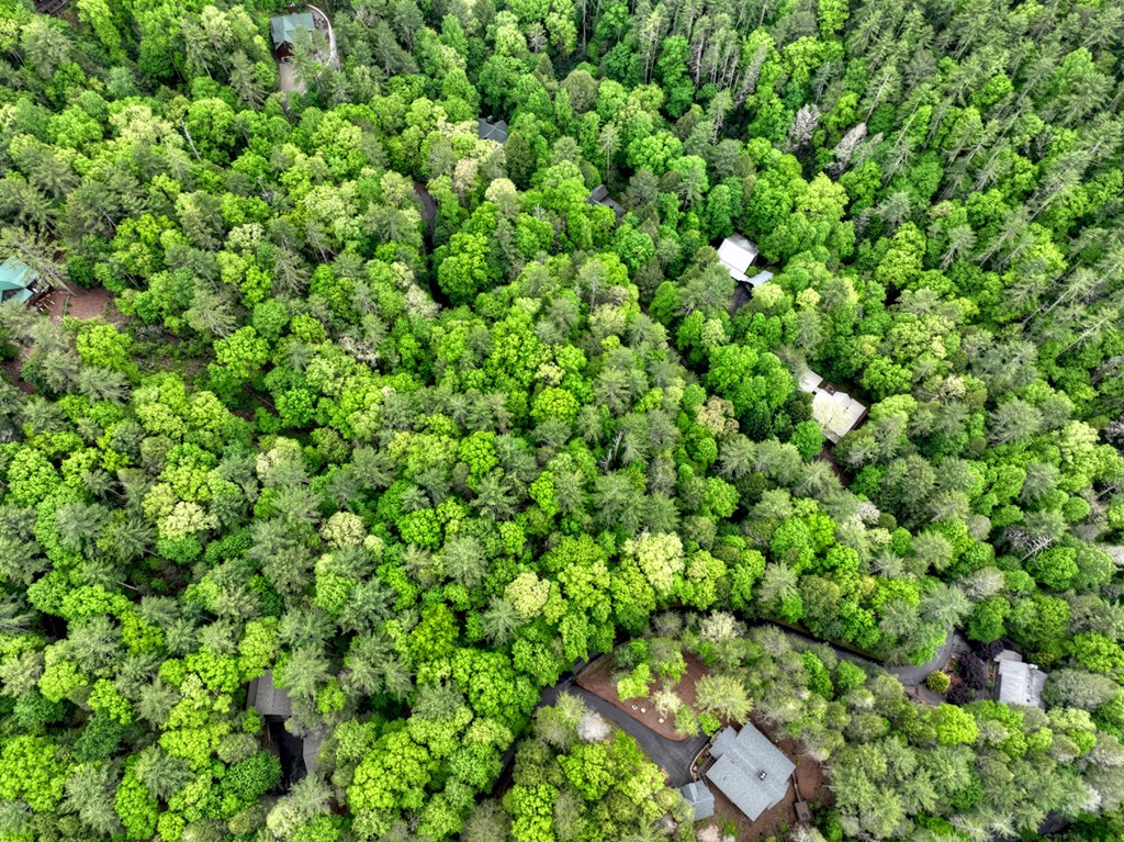 300 River Road Cherry Log, GA 30522 - Photo 115 of 119