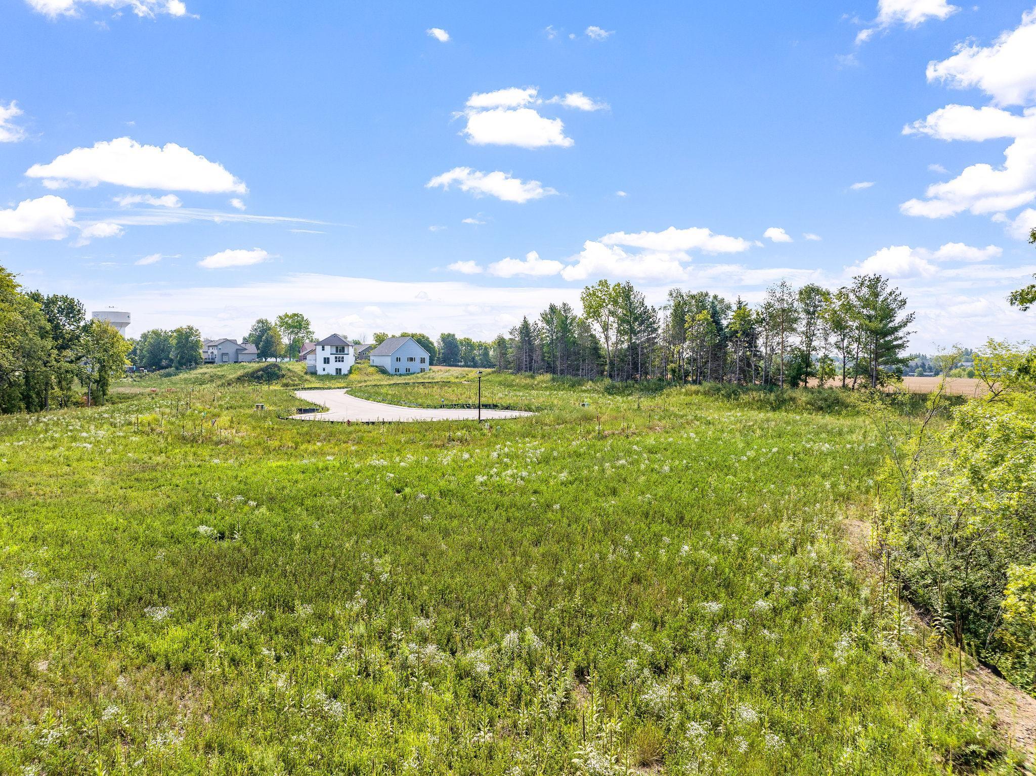 2337 136th Street West Rosemount, MN 55068 - Photo 4 of 5