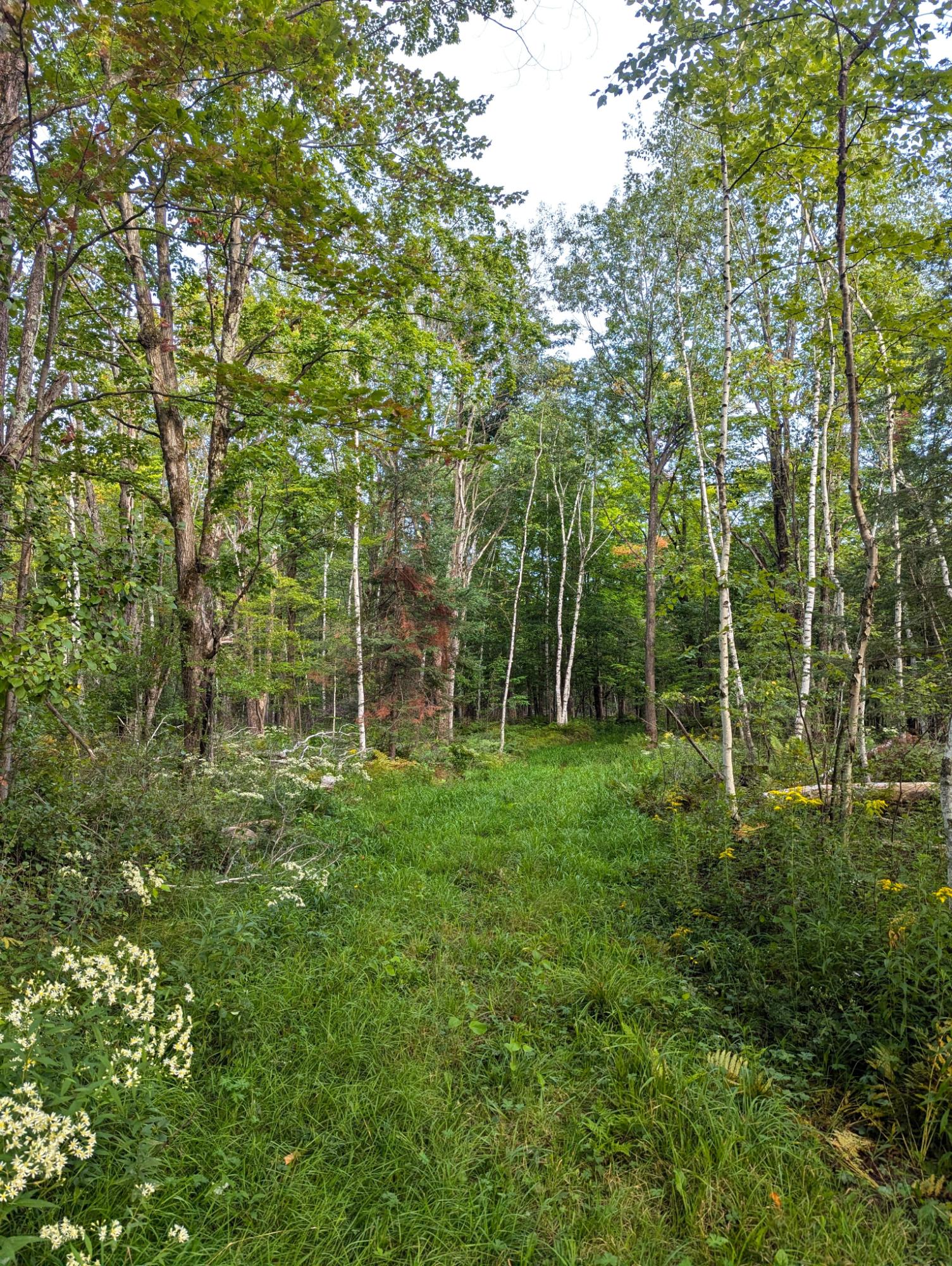 W7027 Dama Road Phillips, WI 54555 - Photo 32 of 41 Gallery Image 32