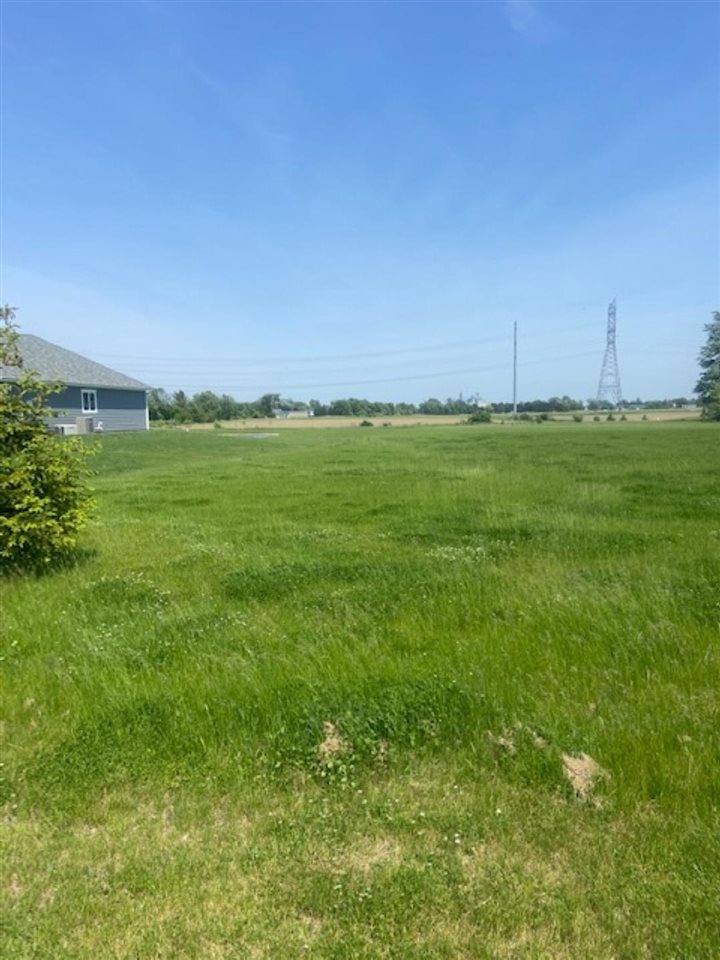 V/l Reese Road Frankenmuth, MI 48734 - Photo 5 of 6
