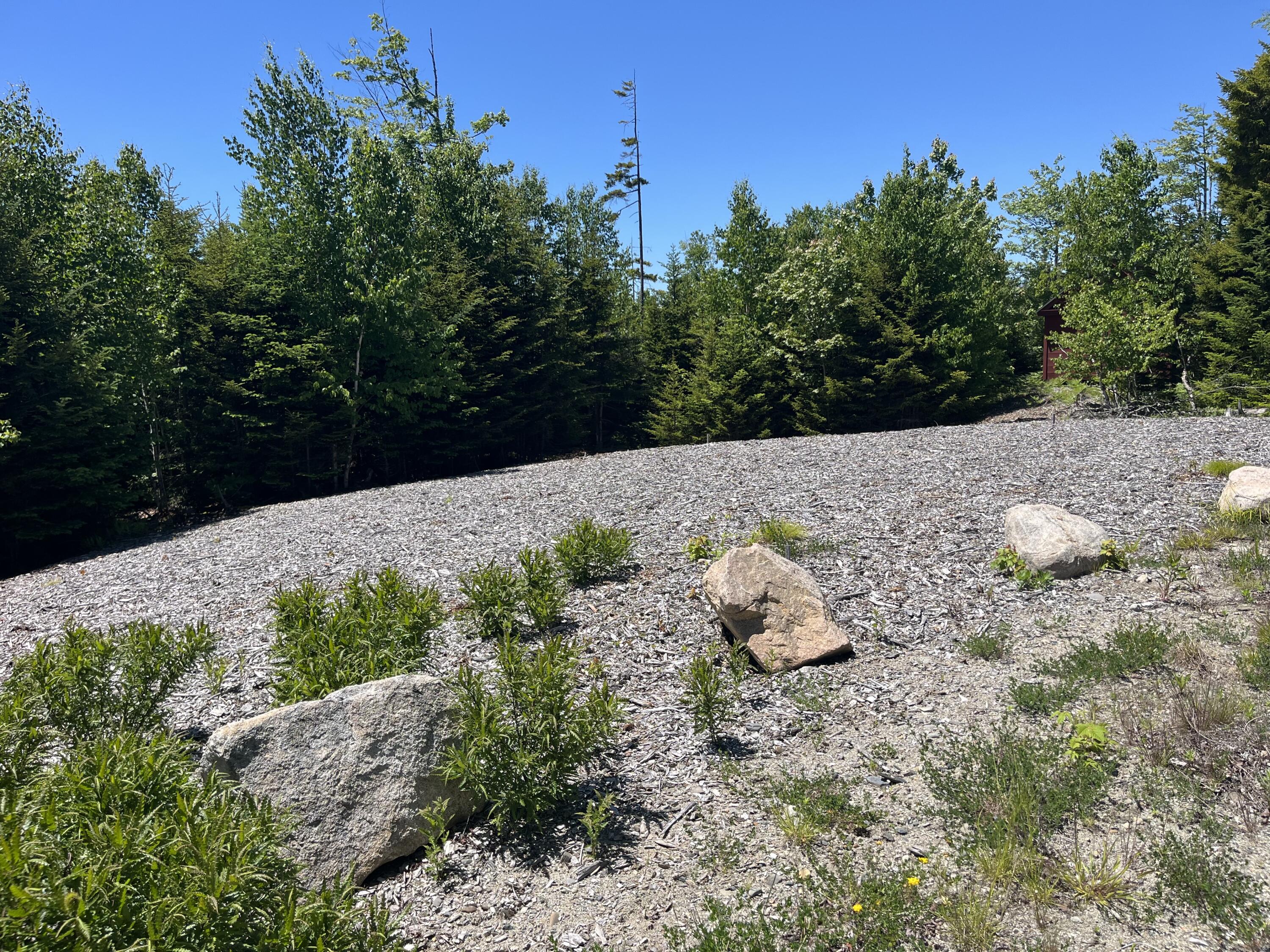 35 Peninsula Shore Road Gouldsboro, ME 04624 - Photo 24 of 26