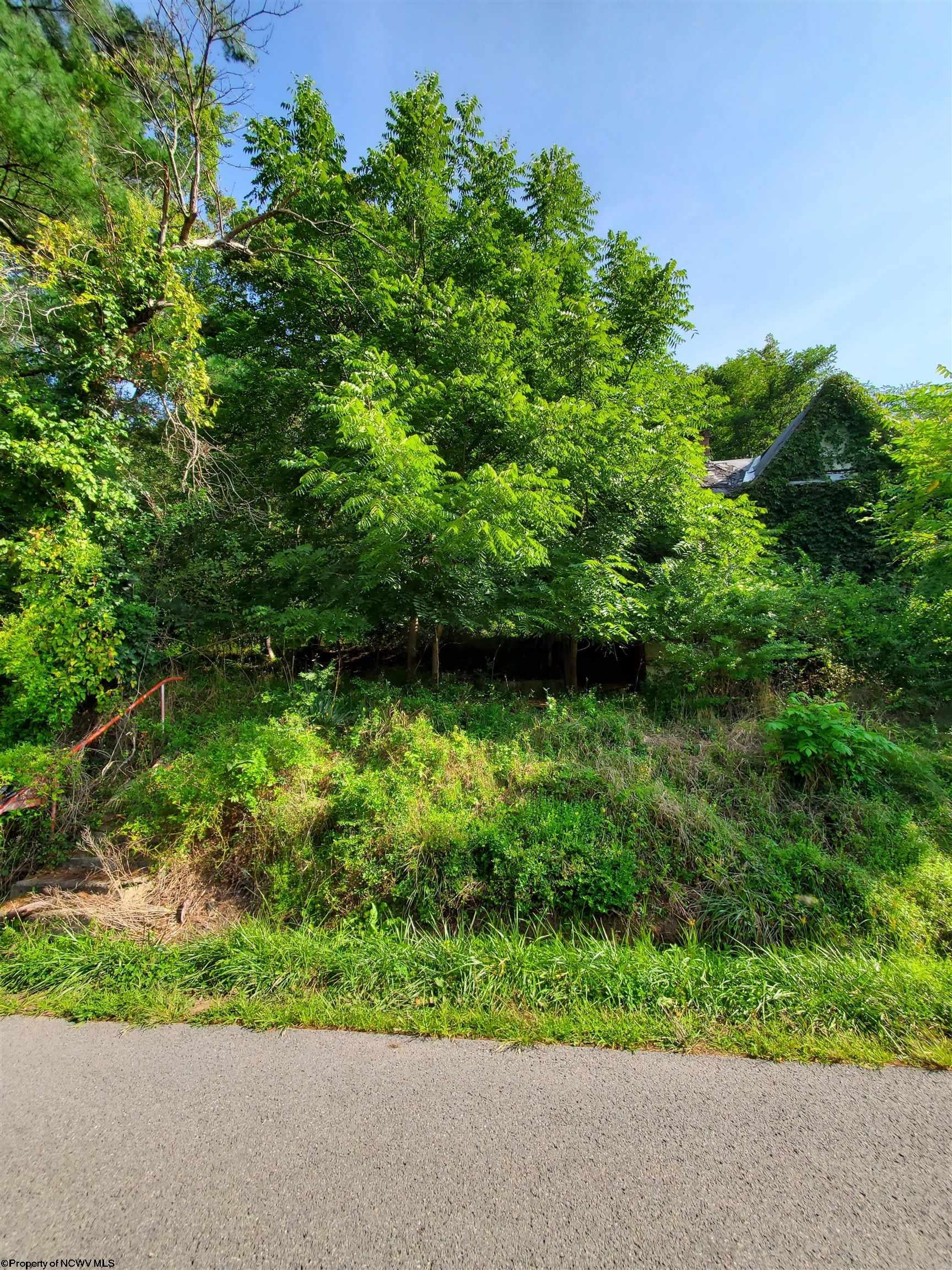 Tbd Hendricks Hill Road Hambleton, WV 26269 - Photo 9 of 11 Gallery Image 9