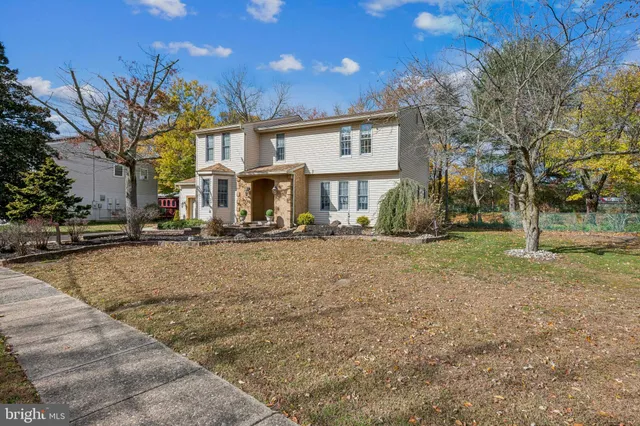 a street view with large trees