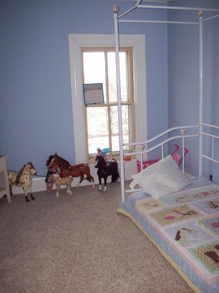 1994 Thomson Road Niles, MI 49120 - Photo 11 of 17 Additional Photo