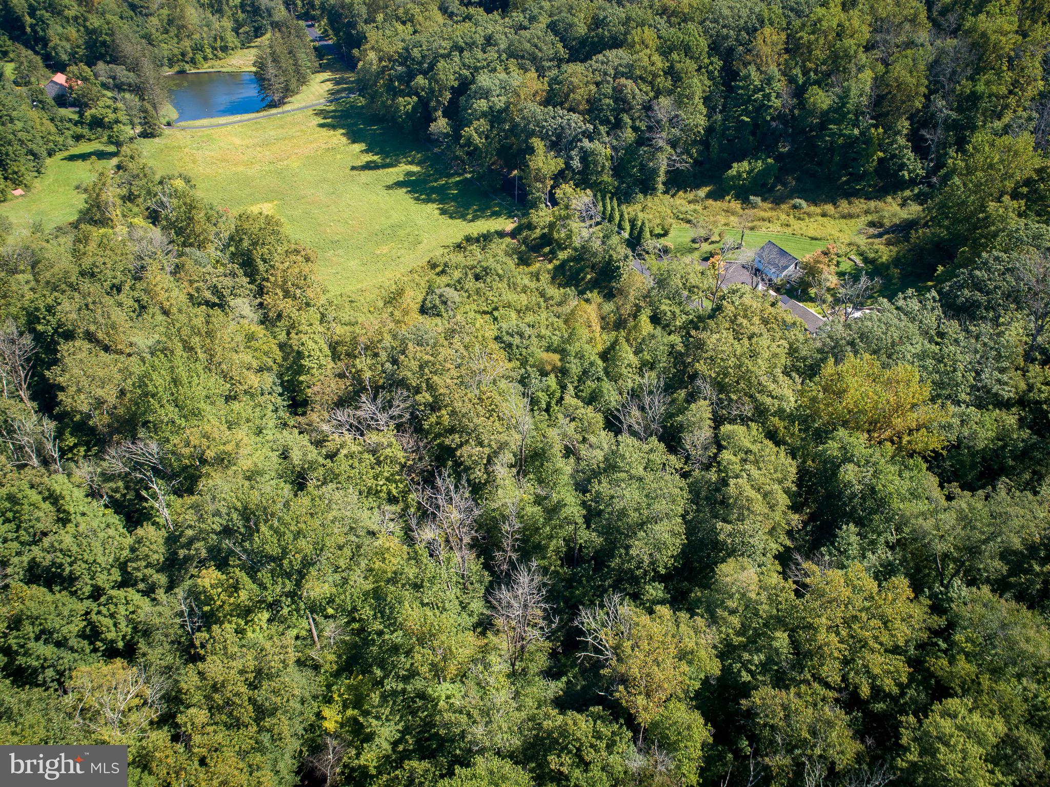1147 Hollow Road Chester Springs, PA 19425 - Photo 2 of 10 Gallery Image 2