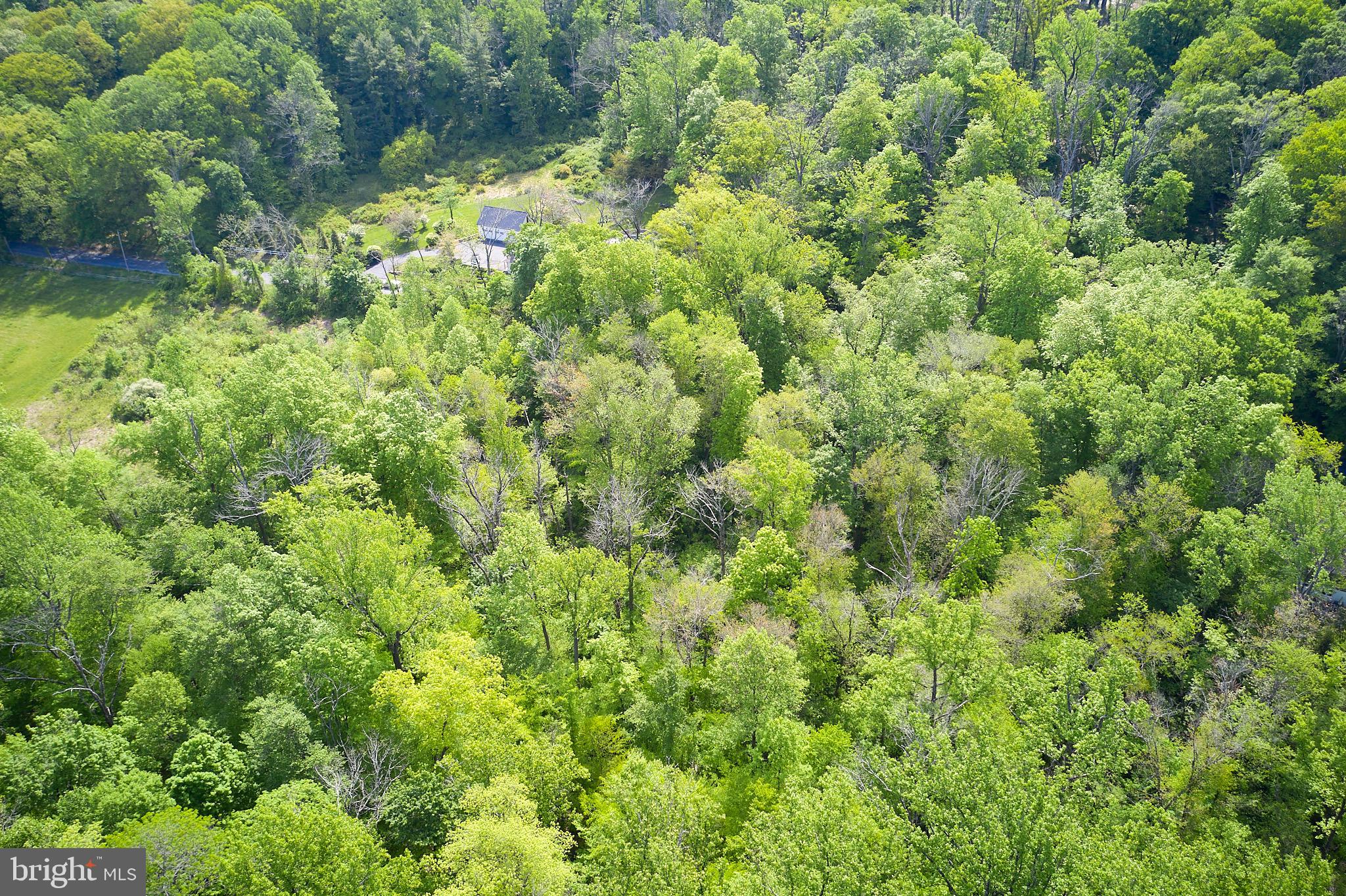 1147 Hollow Road Chester Springs, PA 19425 - Photo 7 of 10 Gallery Image 7