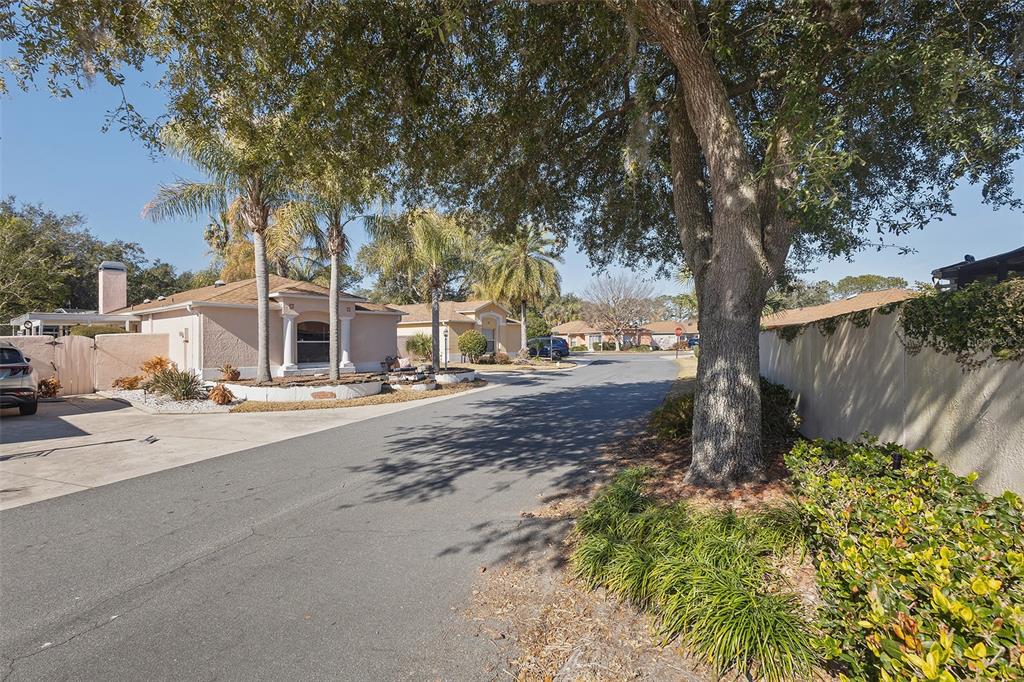 1828 Marquez Loop Lady Lake, FL 32159 - Photo 33 of 36