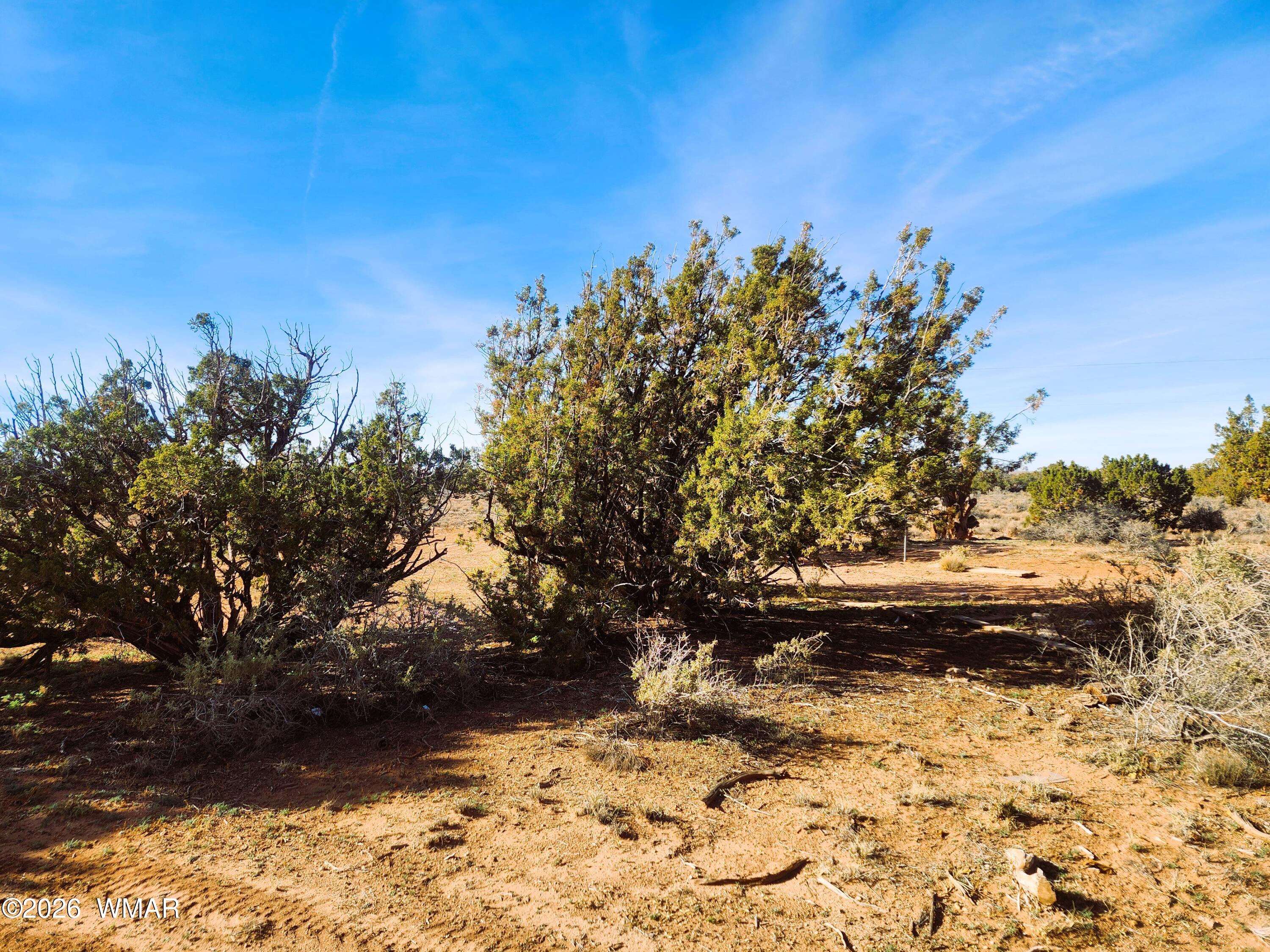 4726 Hay Hollow Road Snowflake, AZ 85937 - Photo 2 of 14