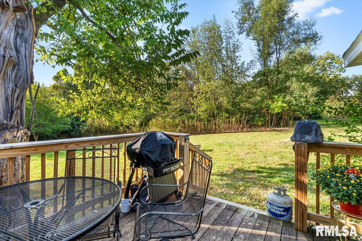 5765 Mansion Road Chatham, IL 62629 - Photo 27 of 29