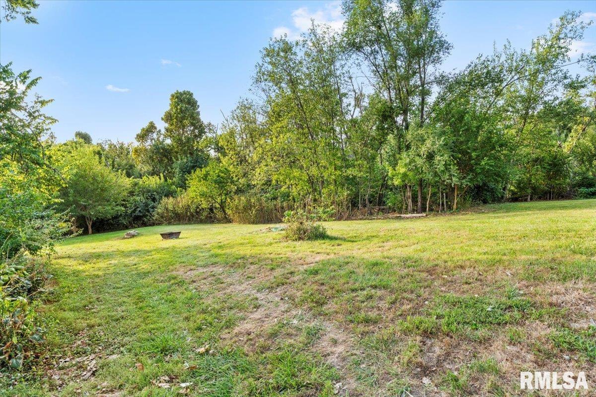 5765 Mansion Road Chatham, IL 62629 - Photo 28 of 29