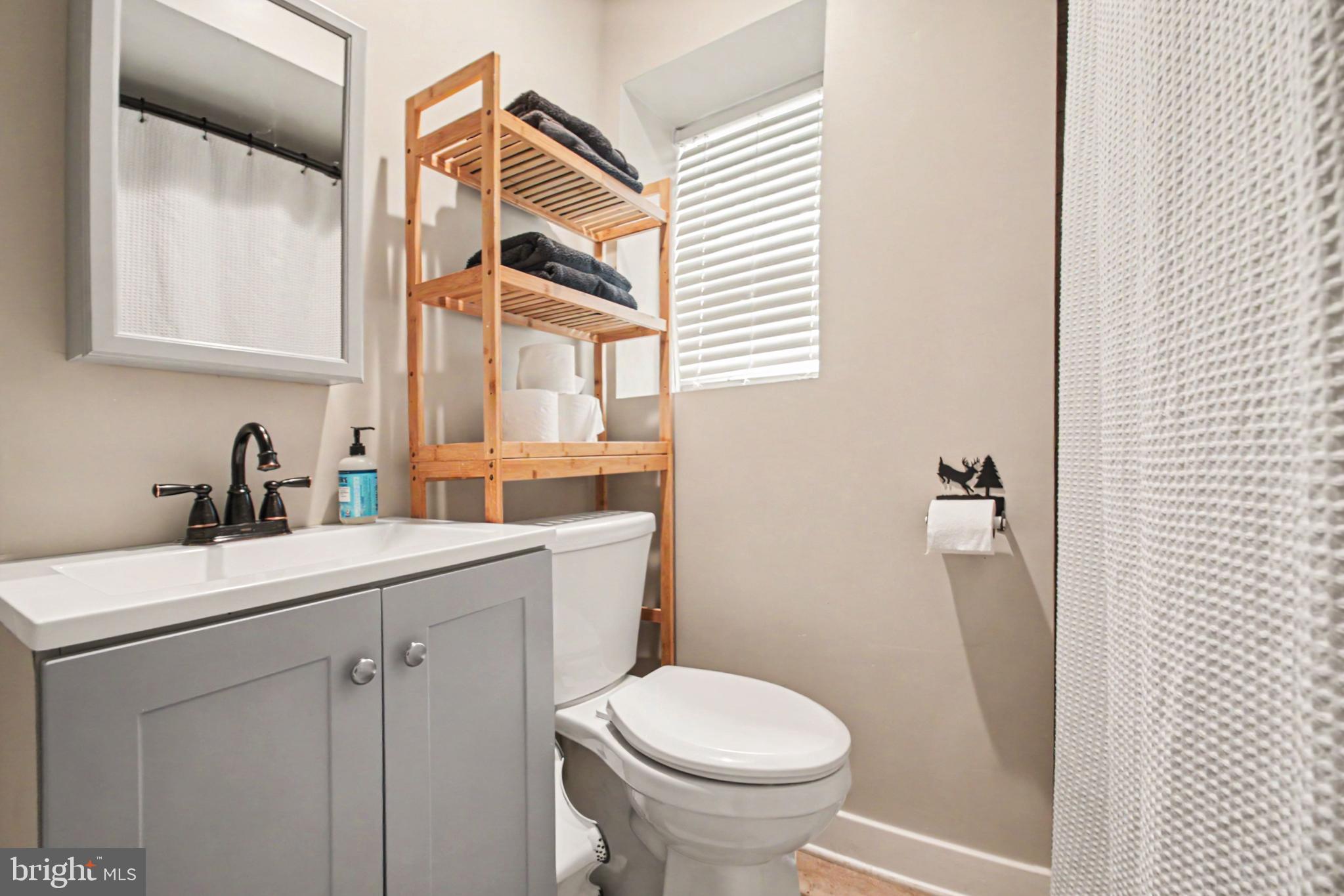 10224 Mill Pond Road Spotsylvania, VA 22551 - Photo 34 of 52 Lower Level Bath w/UPDATED LVP & Vanity
