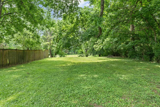 a view of a field of grass and trees