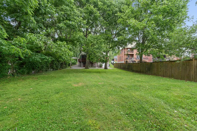 a view of a garden with plants