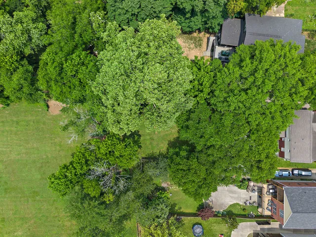 a view of a green field with lots of bushes