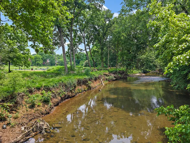 a view of a lush green space