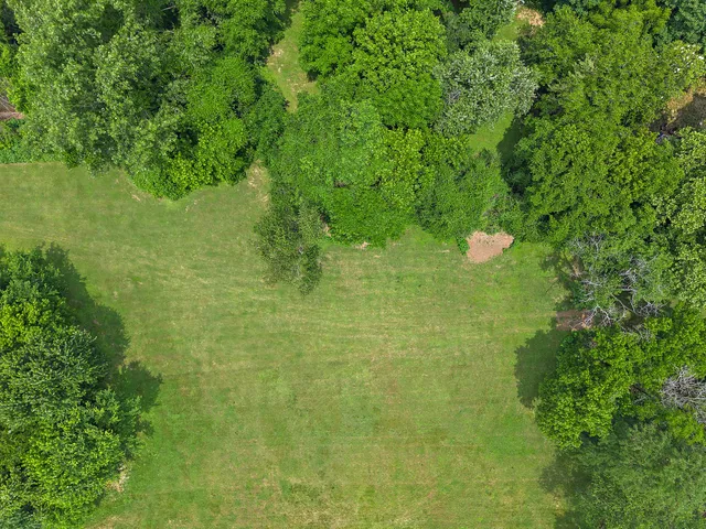 a view of an ocean from a yard